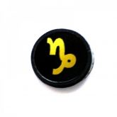  Zodiac sign Shungite plates 