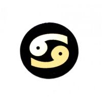  Shungite round plate for cell phone "CANCER", fig. - Shungite.com 