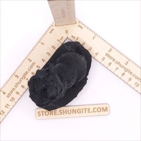 Shungite statuette "Dog", fig. - Shungite.com 